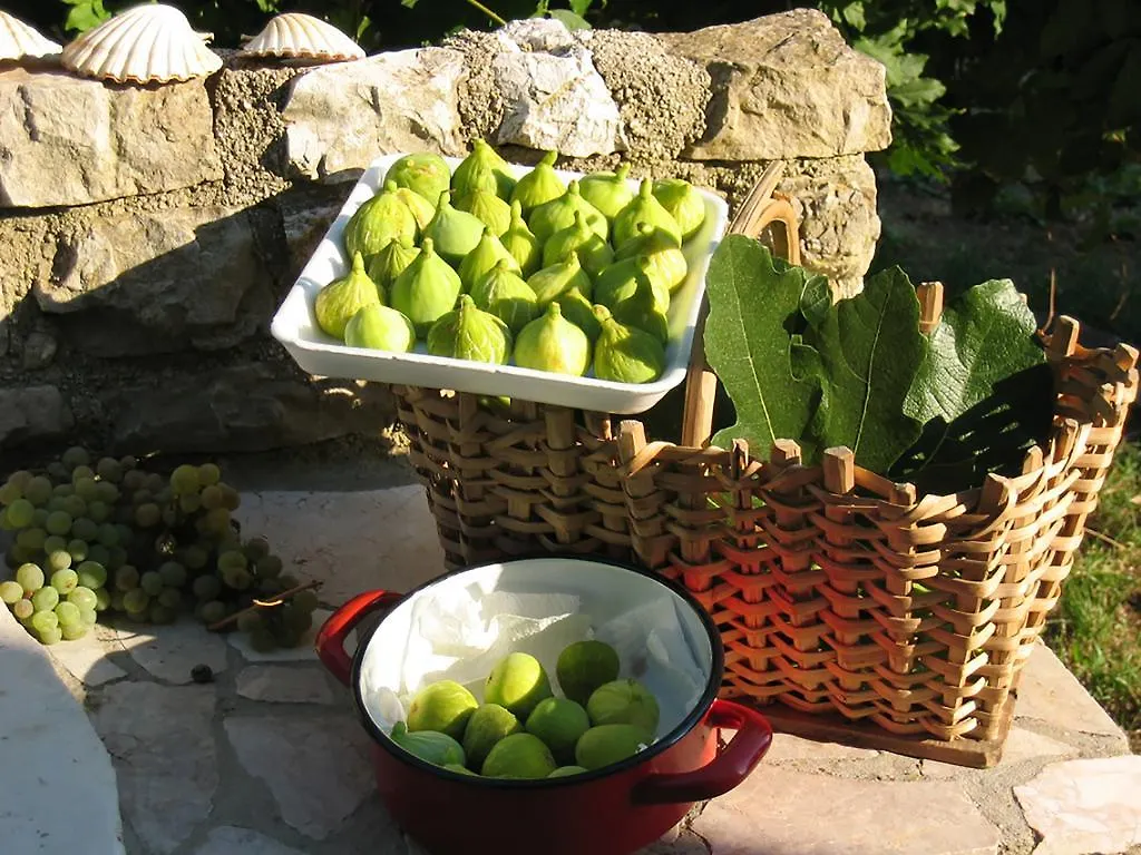 Vila Mirta Nerezine Tatil Evi