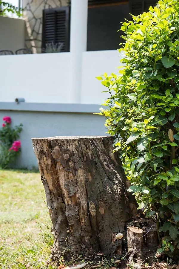 Tatil Evi Vila Mirta Nerezine