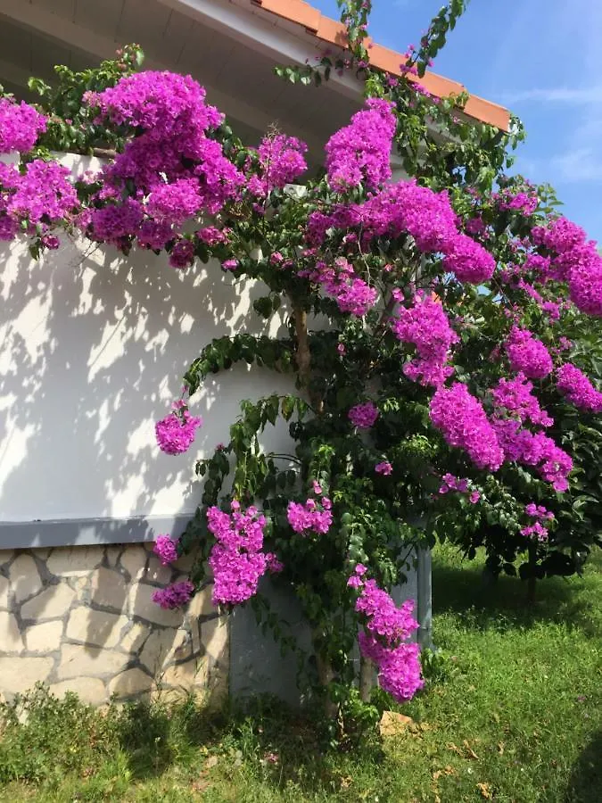 Tatil Evi Vila Mirta Nerezine Hırvatistan